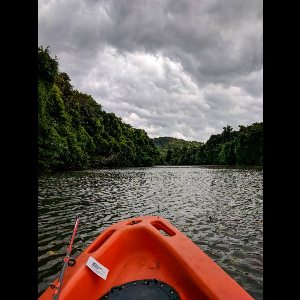 Dark clouds of the monsoon