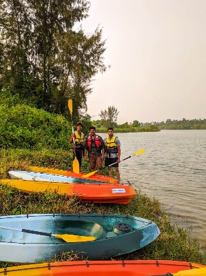 parked kayaks